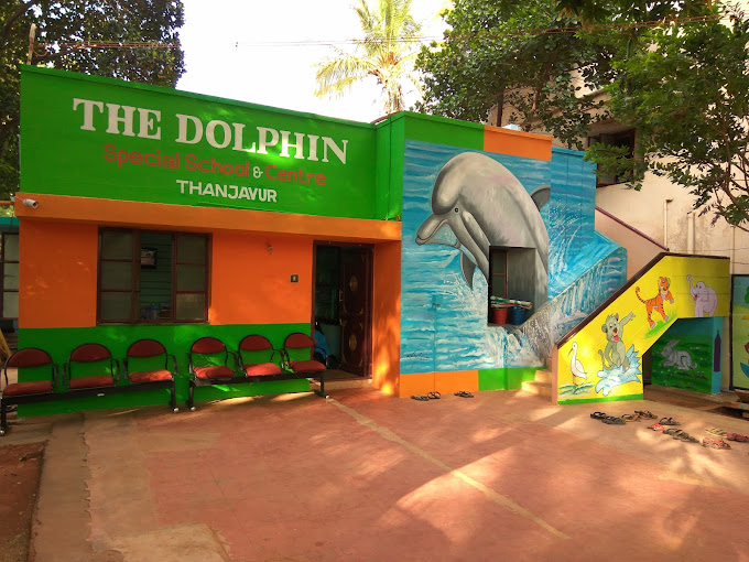 the dolphin image